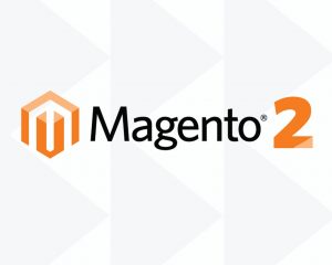 Magento 2 Platform